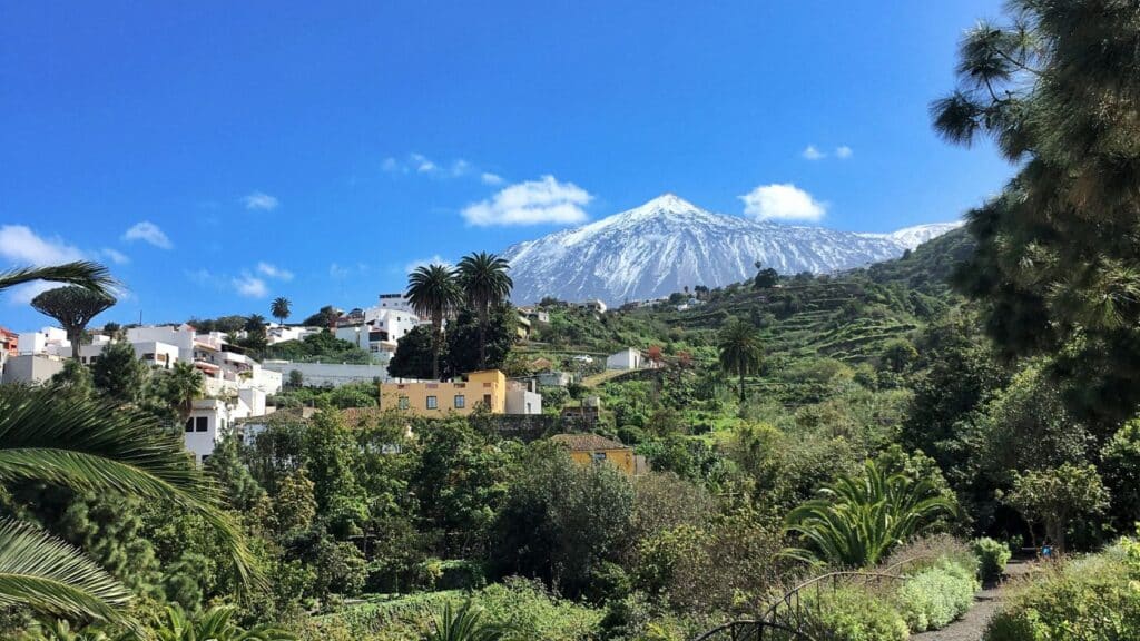 Coaching op Tenerife